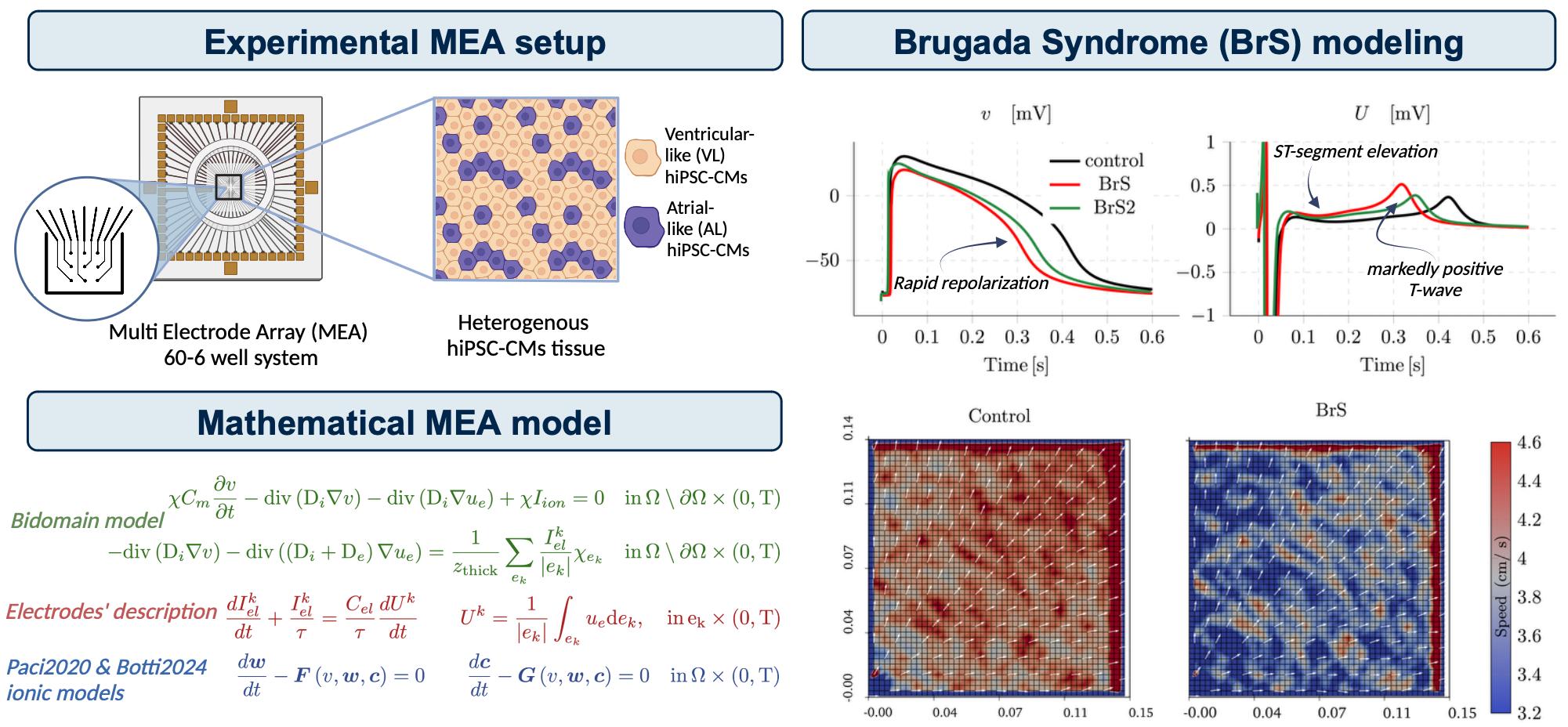 Cardiac electrophysiology